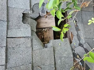 Roof in need of replacement in Dallas