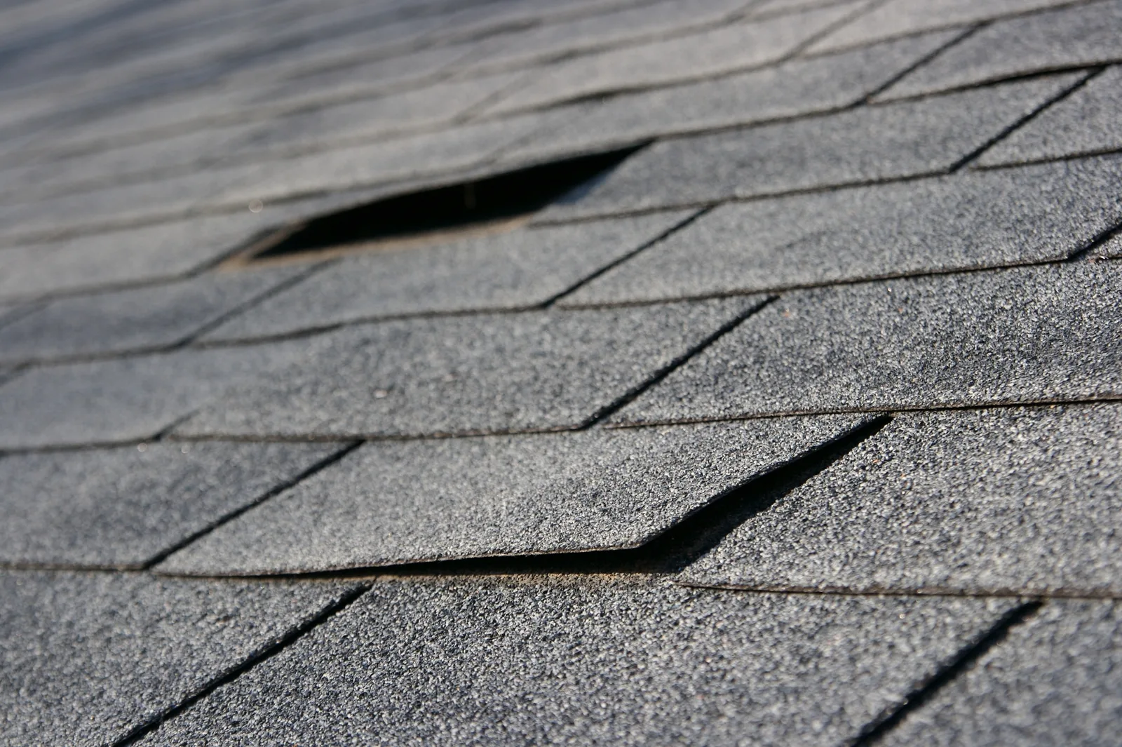 Common Types of Roof Damage Texas Homeowners Face