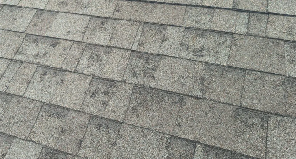 Hail Damage Wylie Texas 2025