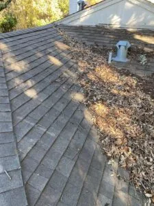 Leaves piled in a roof valley blocking drainage 75229