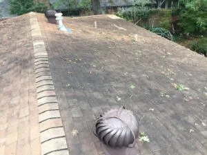 shingles at 1.5/12 slope, too low for shingles
