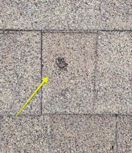 Hail Damage roof inspection