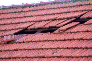 Roof Long Last
