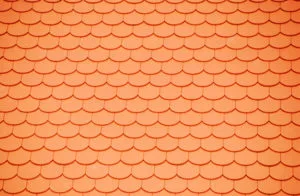 Tile Roof in Top Condition