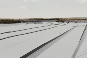 TPO vs. EPDM Roofing