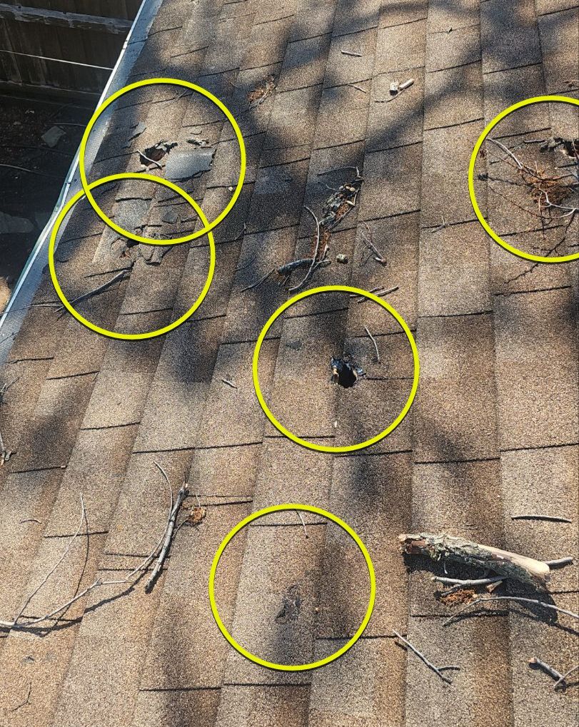 Multiple tree-damage punctures in an aging shingle roof in Old Lake Highlands Dallas