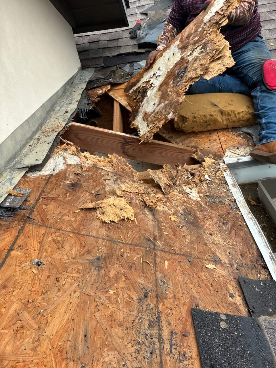 Hidden rotten roof decking discovered during a Lakewood roof repair in Dallas 75214