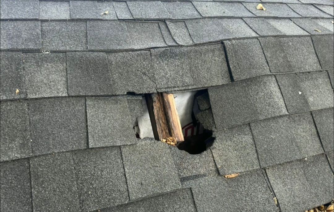 Raccoon-created hole in asphalt shingle roof in University Park, Dallas 75225
