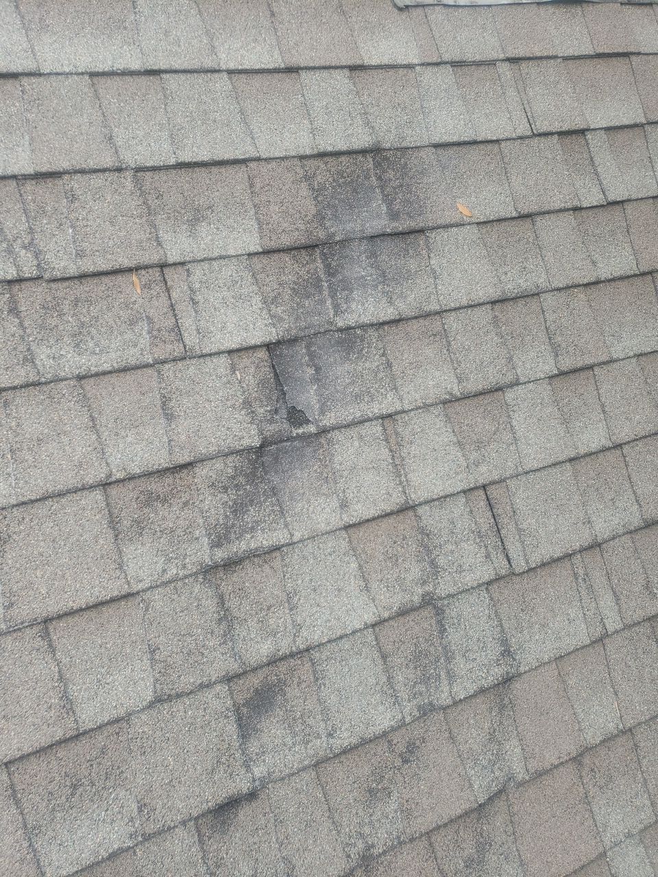 Approximately 20-year-old Elk laminated shingles on a North Dallas home