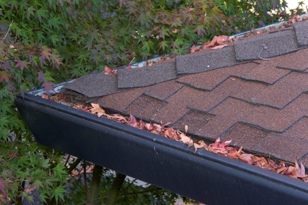 Roofing Maintenance Tips for a Longer-Lasting Roofline