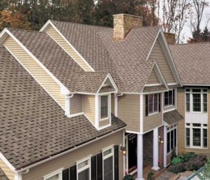 Protect Your Home’s Roof