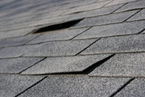 Common Types of Roof Damage