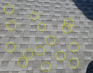 Old GAF Class 4 Roof