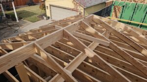 Framing - new construction lower Greenville 